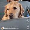 cinde_roberts